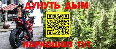 каннабис Будённовск
