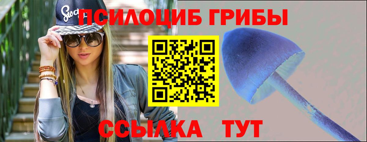Псилоцибиновые грибы Cubensis  наркота  Сафоново  Вход с VPN 