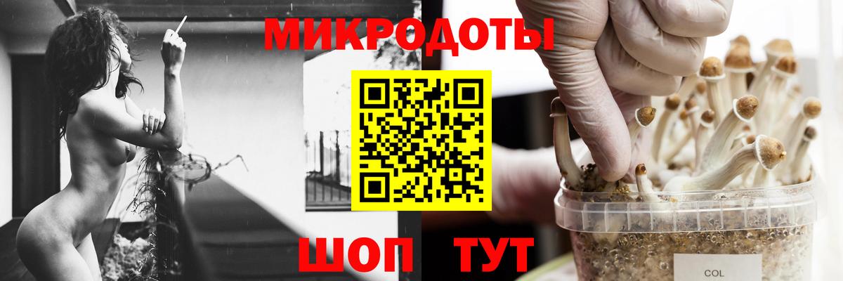Псилоцибиновые грибы мицелий Сафоново